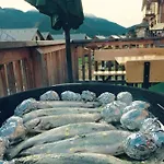 Chalet Triebenstein *